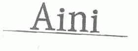 AINI