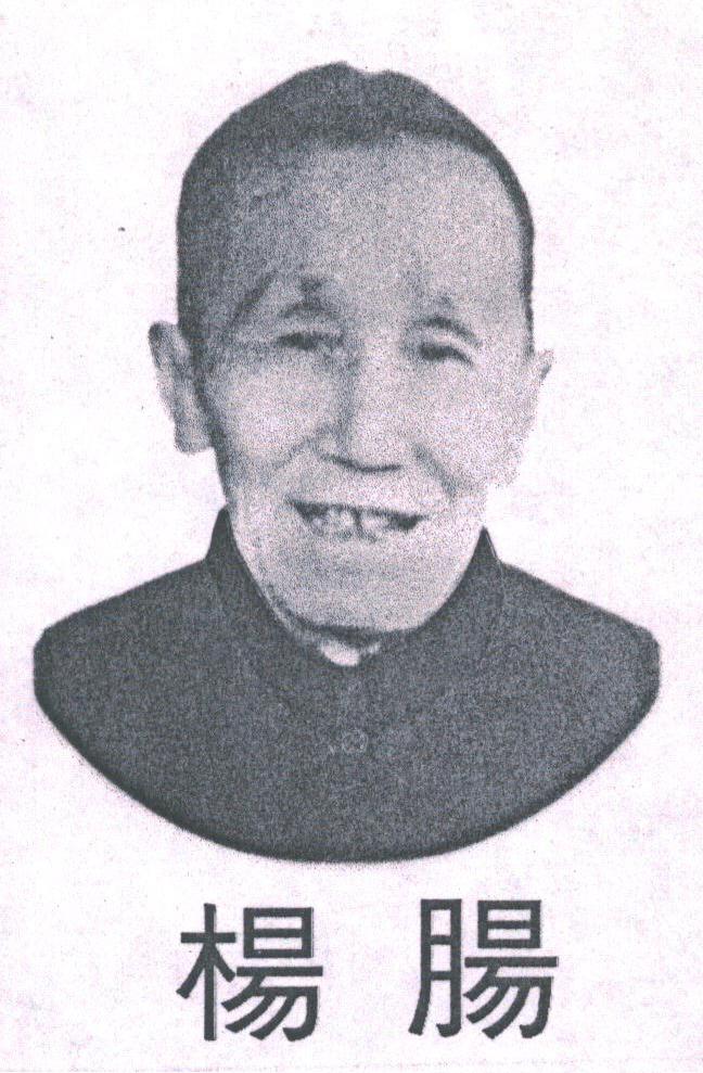 杨