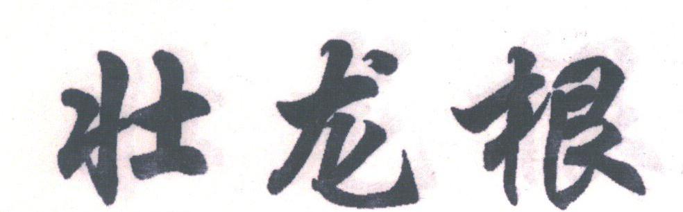 壮龙根