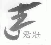 君壮