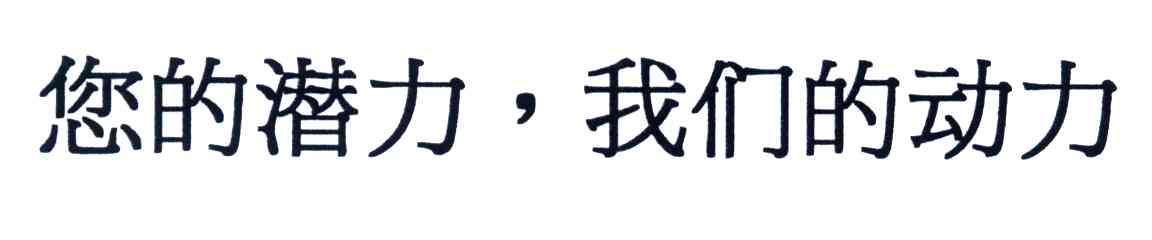 您的潜力，我们的动力
