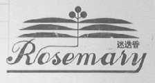 迷迭香    ROSEMARY