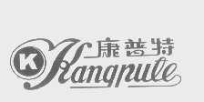 康普特
