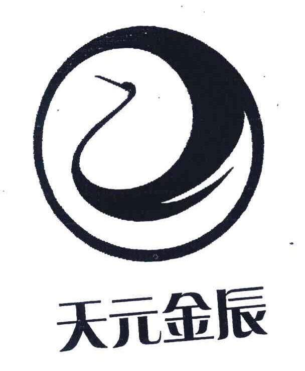 天元金辰