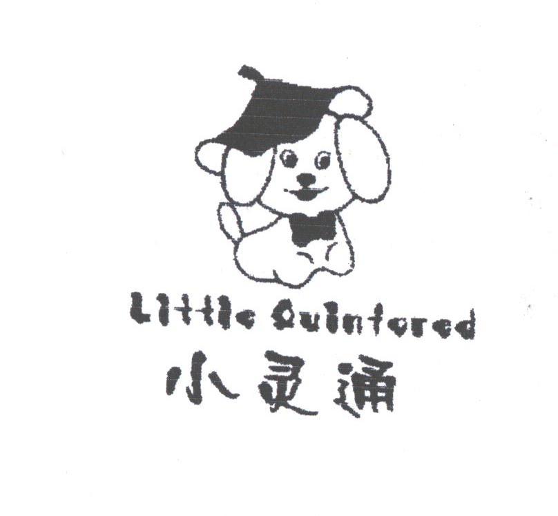 小灵通;LITTLE QUINFORED