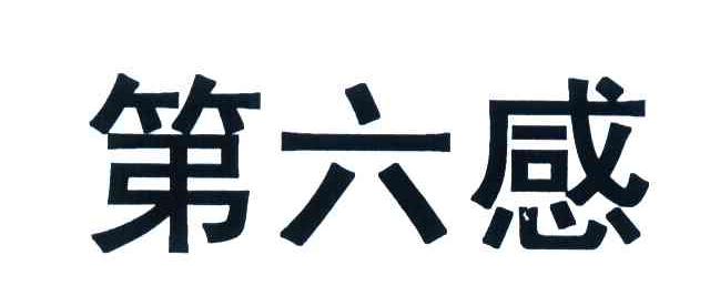 第六感