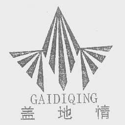 盖地情