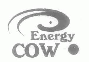 ENERGY COW
