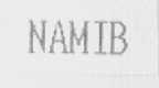 NAMIB