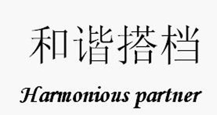 和谐搭档 HARMONIOUS PARTNER