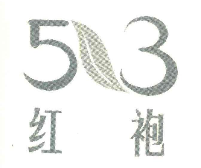 513 红袍