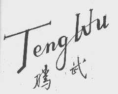 腾武