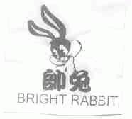 帅兔;BRIGHT RABBIT