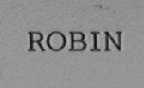 ROBIN