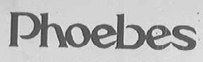 PHOEBES