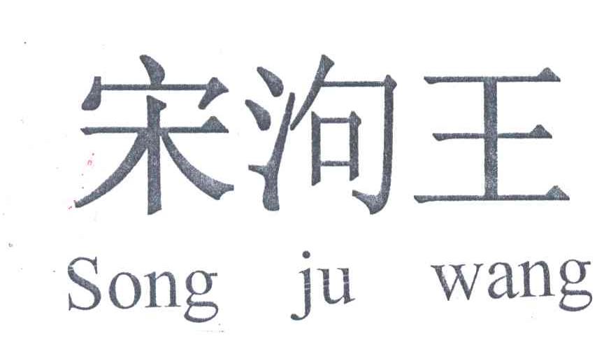 宋?王