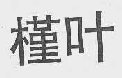 槿叶