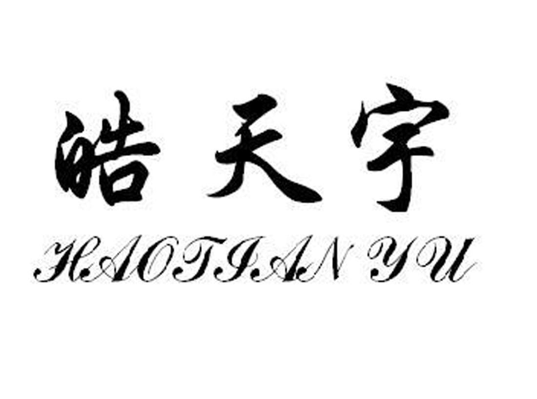 皓天宇