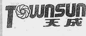 天成   TOWNSUN