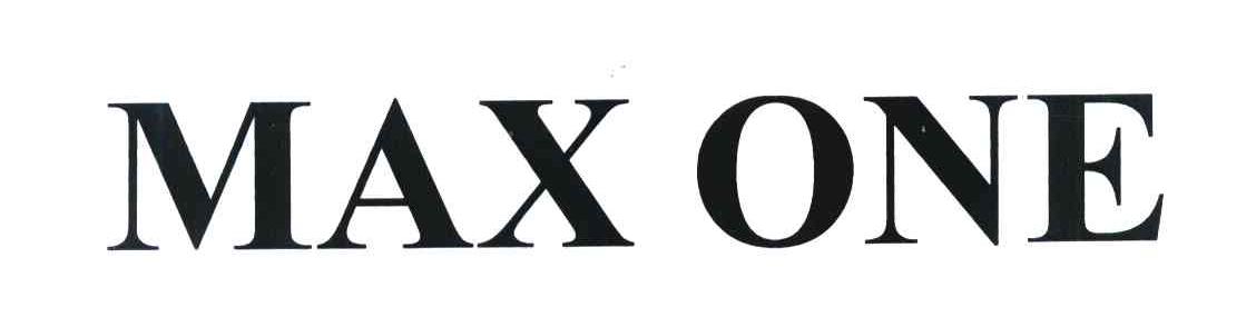 MAX ONE