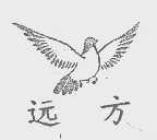 远方