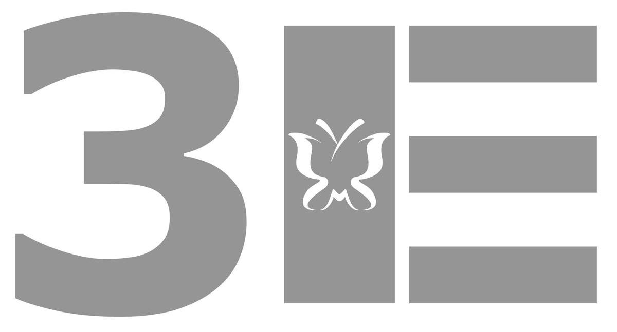 3 E