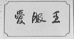 爱服王