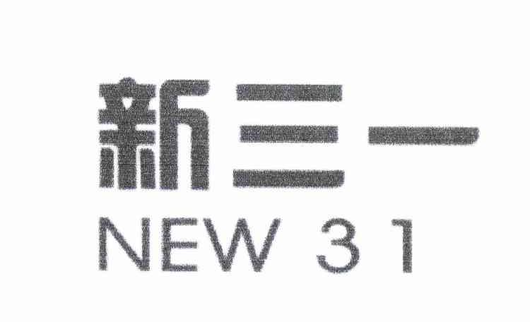 新三一 NEW 31