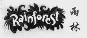 雨林   RAINFOREST