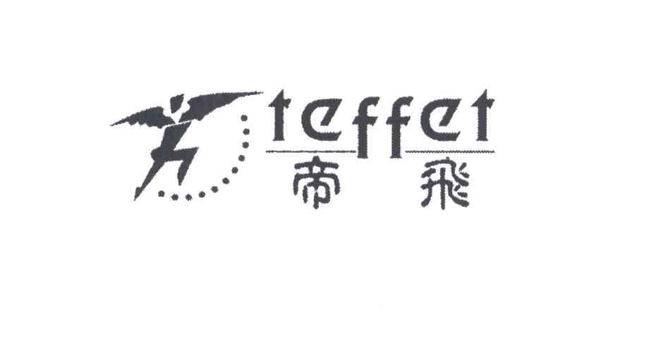 帝飞