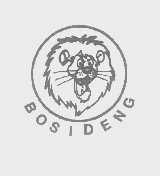 BOSIDENG