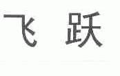 飞跃