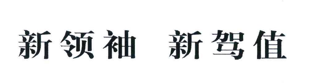 新领袖新驾值