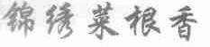 锦绣菜根香