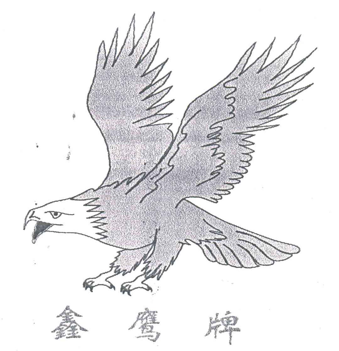 鑫鹰