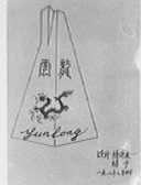 云龙
