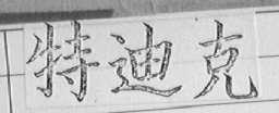 特迪克