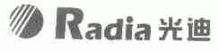 光迪;RADIA