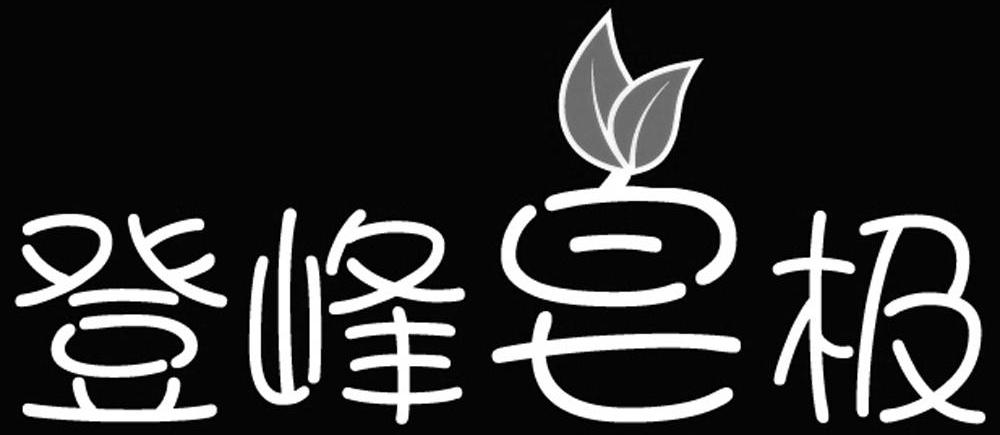 登峰皂极