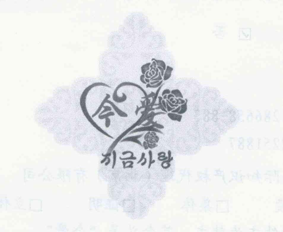 今爱