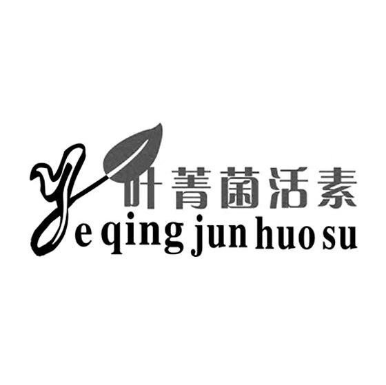 叶菁菌活素 YE QING JUN HUO SU
