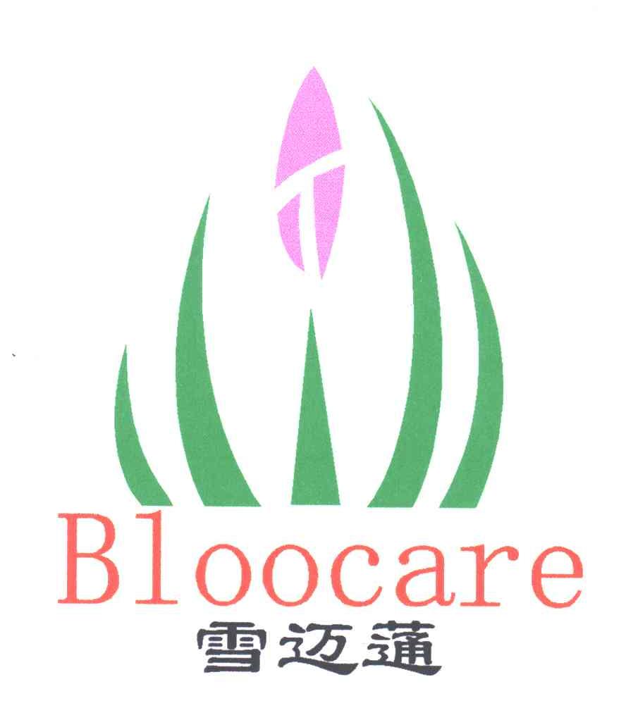 雪迈蓪;BLOOCARE