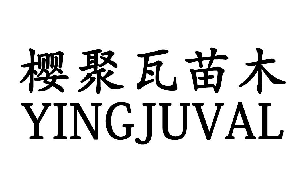 樱聚瓦苗木 YINGJUVAL