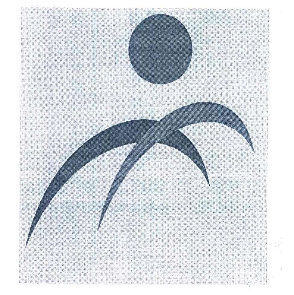 图形