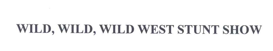 WILD WILD WILD WEST STUNT SHOW