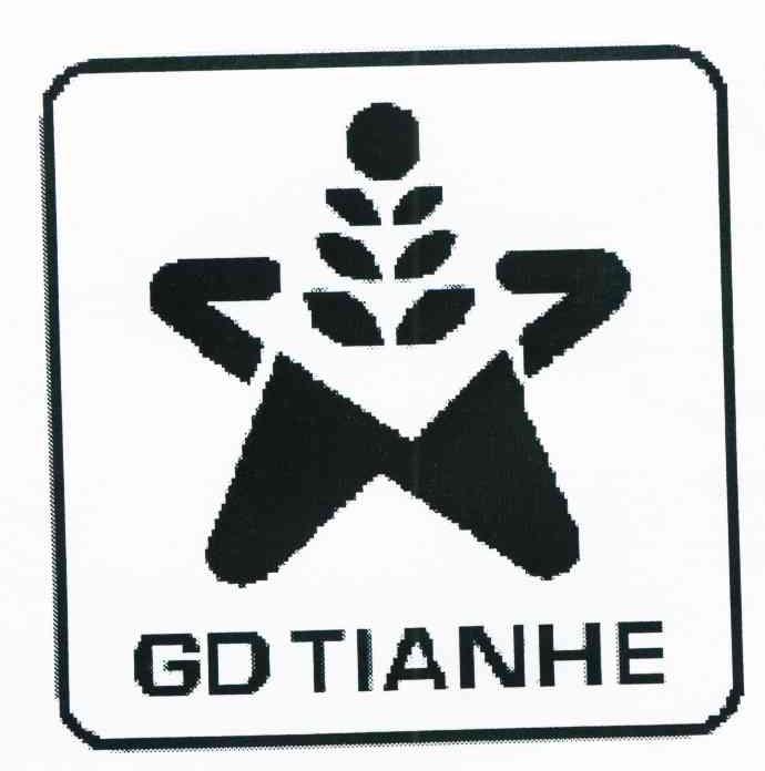 GD TIANHE