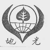 地光