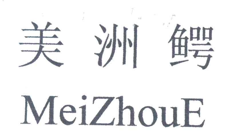 美洲鳄
