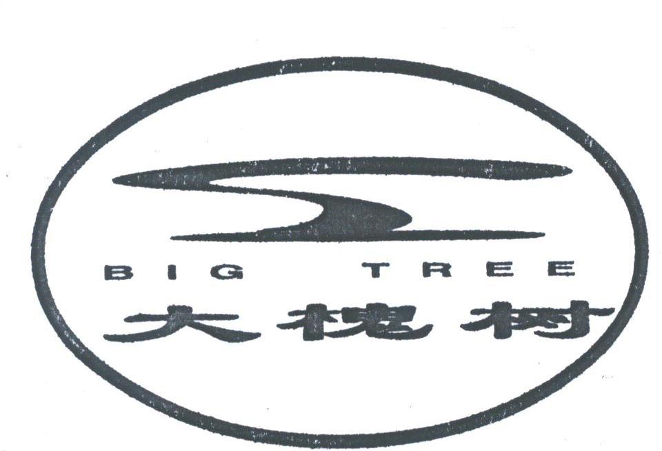大槐树;BIG TREE