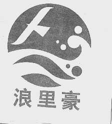 浪里豪